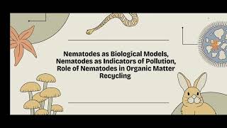 Nematodes as Biological Model  Nematology Beneficial Nematodes [upl. by Ainaled253]