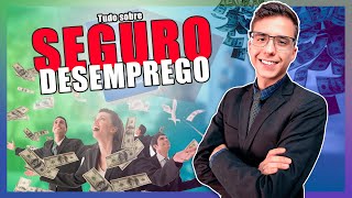 SEGURO DESEMPREGO  Tudo que você precisa saber sobre o benefício [upl. by Goddord]