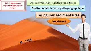 les figures sédimentaires les dunes  SVT 1 bac sciences expérimentales option français [upl. by Celestine469]