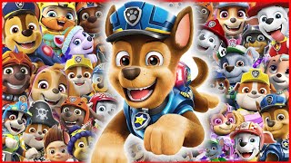 PAW Patrol Theme Song Cover  PAW Patrol [upl. by Anila]