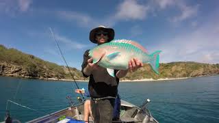 Offshore Reef Fishing Tropical Islands QLD Australia [upl. by Sophia]