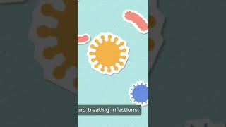 Bacteria vs Viruses Which is more dangerous [upl. by Aerda]