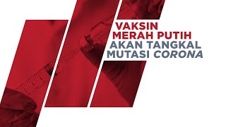 Vaksin Merah Putih Akan Tangkal Mutasi Corona [upl. by Hayikat]