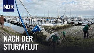 SchleswigHolstein Nach der JahrhundertSturmflut  Die Nordreportage  NDR Doku [upl. by Alekin]