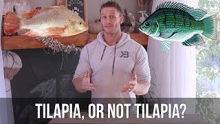 Is Tilapia Good For You 3 Fish to Eat instead of Tilapia Thomas DeLauer [upl. by Nohtanhoj]