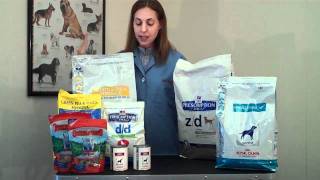 Understanding Hypoallergenic Pet Foods [upl. by Ahsilrae]