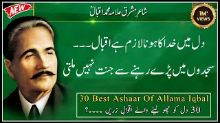 Allama Iqbal Shayari  Best 2 Line Poitry of Allama iqbal  iqbal quotes  iqbal Poitry [upl. by Mohammed]