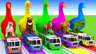 5 Giant Duck CartoonCowElephantTigerLionDinosaurPaint Wild Animals Crossing Fountain Animation [upl. by Rofotsirk169]