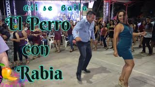 El chavo que se llevo la noche  Asi se debe bailar el Perro con Rabia  Ajuchitlan Del Progreso [upl. by Meekah363]