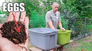 How to Make a Worm Composting Bin Quick Simple and Inexpensive Gardening [upl. by Veradi]