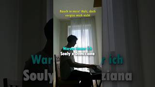 WARUM IMMER ICH  SOULY x DOMIZIANA  Piano Cover souly domiziana pianocover warumimmerich [upl. by Nazarius]