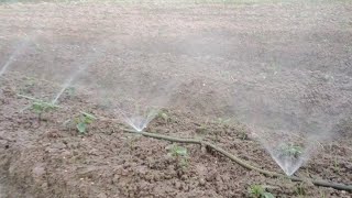 DIY sprinkler irrigation system from recycled plastic pipes [upl. by Carr360]