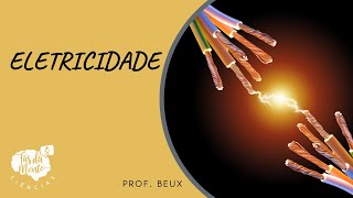 ELETRICIDADE  Ensino Fundamental [upl. by Paradies207]