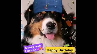 Teo hat heute Geburtstag 🎁💕🐶 [upl. by Bathsheeb303]