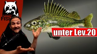 Russian Fishing 4  Moskito See  Top Spot unter Lev 20 [upl. by Cinderella]