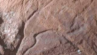 Video El arte rupestre de la CUEVA del MORO Tarifa Cádiz [upl. by Alsi181]