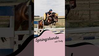 Reithose mit oder ohne Handytasche 😉💕 springstunde pferd springpferd pferdevideo shorts [upl. by Mikkanen]