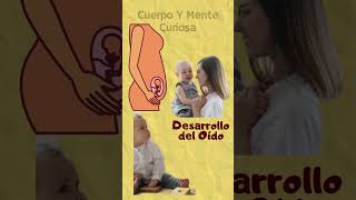 5 CURIOSIDADES DEL DESARROLLO FETAL mentecuriosa anatomia embriologia cuerpohumano desarrollo [upl. by Ainessej119]