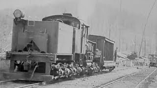 Logging Railway At Horne Lake British Columbia 1929 Educational Documentary WDTVLIVE42  The Best D [upl. by Bravin]