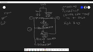 Understanding the Short Synacthen Test [upl. by Ingar525]