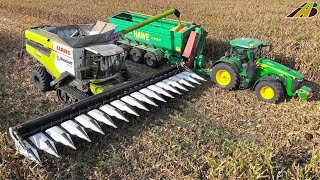 Großeinsatz Maisernte 2023  16reihig Körnermais dreschen Claas Mähdrescher amp Traktor Corn Harvest [upl. by Nnylhsa]