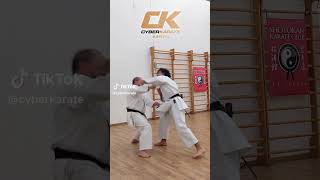 KATA BASSAI SHO BUNKAI PILL  KARATE SHOTOKAN shorts [upl. by Etem]