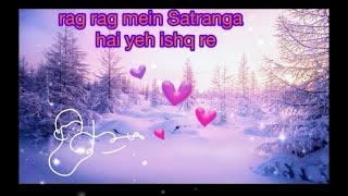 Satranga song with lyricsmovieanimal arijitsingh ranbirkapoor rashmikamandanna [upl. by Nerraj]