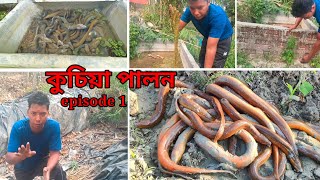 Eel fish farming  Preparation  episode 1  how to make money by farming eel fish  new series2024 [upl. by Nnayhs]