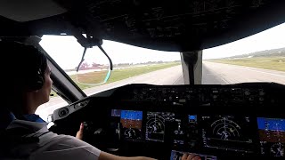 Boeing 7878  Departing Montego Bay  cockpit view [upl. by Bow102]