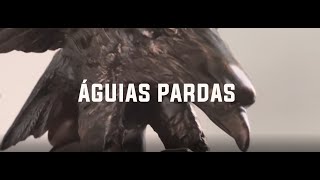 Águias Pardas Minissérie  A ESCOLA DE COMANDANTES  EP05 [upl. by Zilevi810]