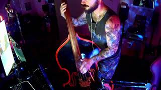 Time To Rock  Go Cat Go  UprightDouble Bass Cover rockabilly rocknroll basscover slapbass [upl. by Ardaed768]