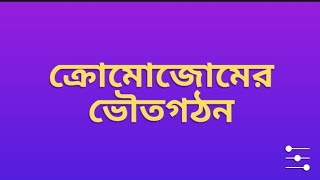 Chromosome Structure ক্রোমোজোমের ভৌত গঠন in Bengali [upl. by Berga]