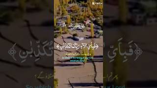 Quran Recitation💜👍qourankarim shorts viralvideo viralshorts2024 [upl. by Ivo]