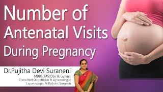 Hi9  Number of Antenatal Visits during Pregnancy  DrPujitha Devi Suraneni  Gynecologist [upl. by Galvin354]