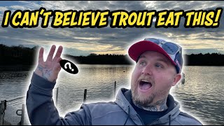 Hanningfield Reservoir Trout on ULTRA Light Lures [upl. by Ttennej]