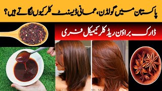 DARK BROWN HAIR DYE AT HOME HAIR DYE IN 10 MIN 100ORGANIC HAIR DYE AMAZING RESULT [upl. by Tanitansy]