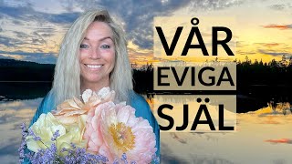 💫 Inkarnation  Vår eviga själ  Mörka energier 😈quotBer om ursäkt för kasst ljudquot [upl. by Eilsew]