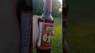 Sarsaparilla Root Beer siouxcity Sarsapairlla rootbeer sunset tastetest falloutnewvegasmemes [upl. by Namilus]