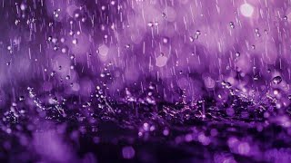 Purple Rain Official Lyric Video [upl. by Ahseel]