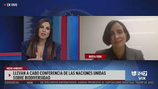 Entrevista Exclusiva Ministra Susana Muhamad en Univisión Noticias  COP16 en Colombia [upl. by Hessler946]