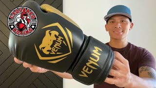 Venum Elite Boxing Gloves REVIEW  Popular Gloves [upl. by Stannfield]