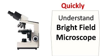 Bright field microscopy [upl. by Timrek]