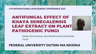 Antifungal Effect  4th International Biosciences Conference 2021  Miracle Herbal Diversity [upl. by Anitnas988]