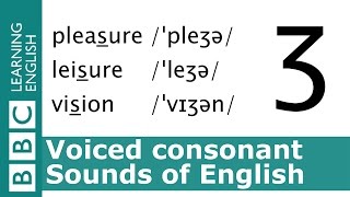 English Pronunciation 👄 Voiced Consonant  ʒ  pleasure leisure and vision [upl. by Yks]