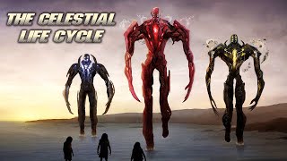 The Celestials Life Cycle amp Origin Explained [upl. by Akehs]