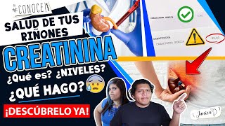 BAJA TU CREATININA y mejora los SÍNTOMAS de riñones ENFERMOS ⚠💢 Junica IRC [upl. by Cantu]