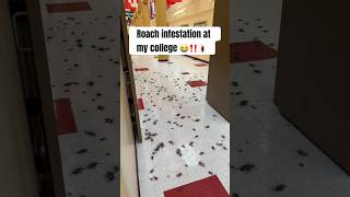 Roach infestation at my college roaches comedyvideo [upl. by Nylrahs]