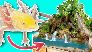 I Built Her Axolotl A MASSIVE Indoor Pond AquariumInfo Part 2 [upl. by Bernette]