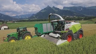 Ensilage de méteil au Paradis  JL Robatel [upl. by Yaj]