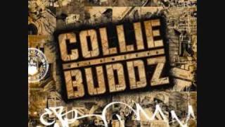 Collie Buddz  Blind To You [upl. by Lledner]